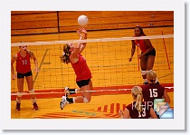 vs Seaman * (648 Slides)